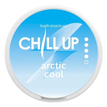 Снюс Chill Up Arctic Cool 9mg (Срок до 06.25)